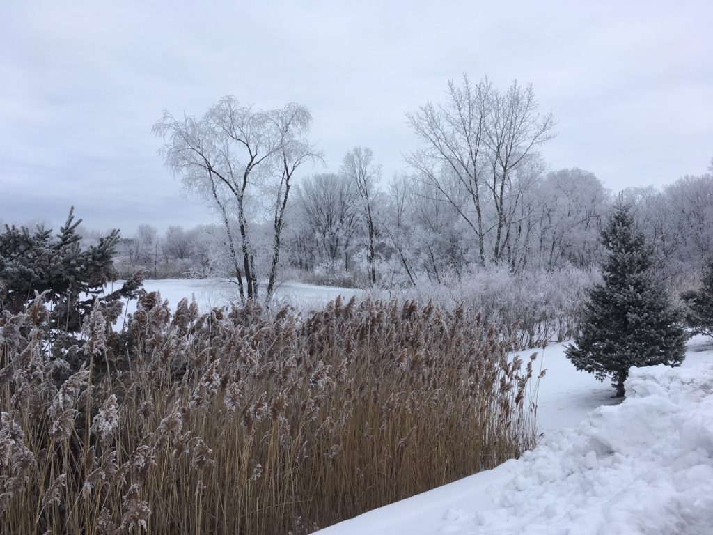 Frosty Winter Morning